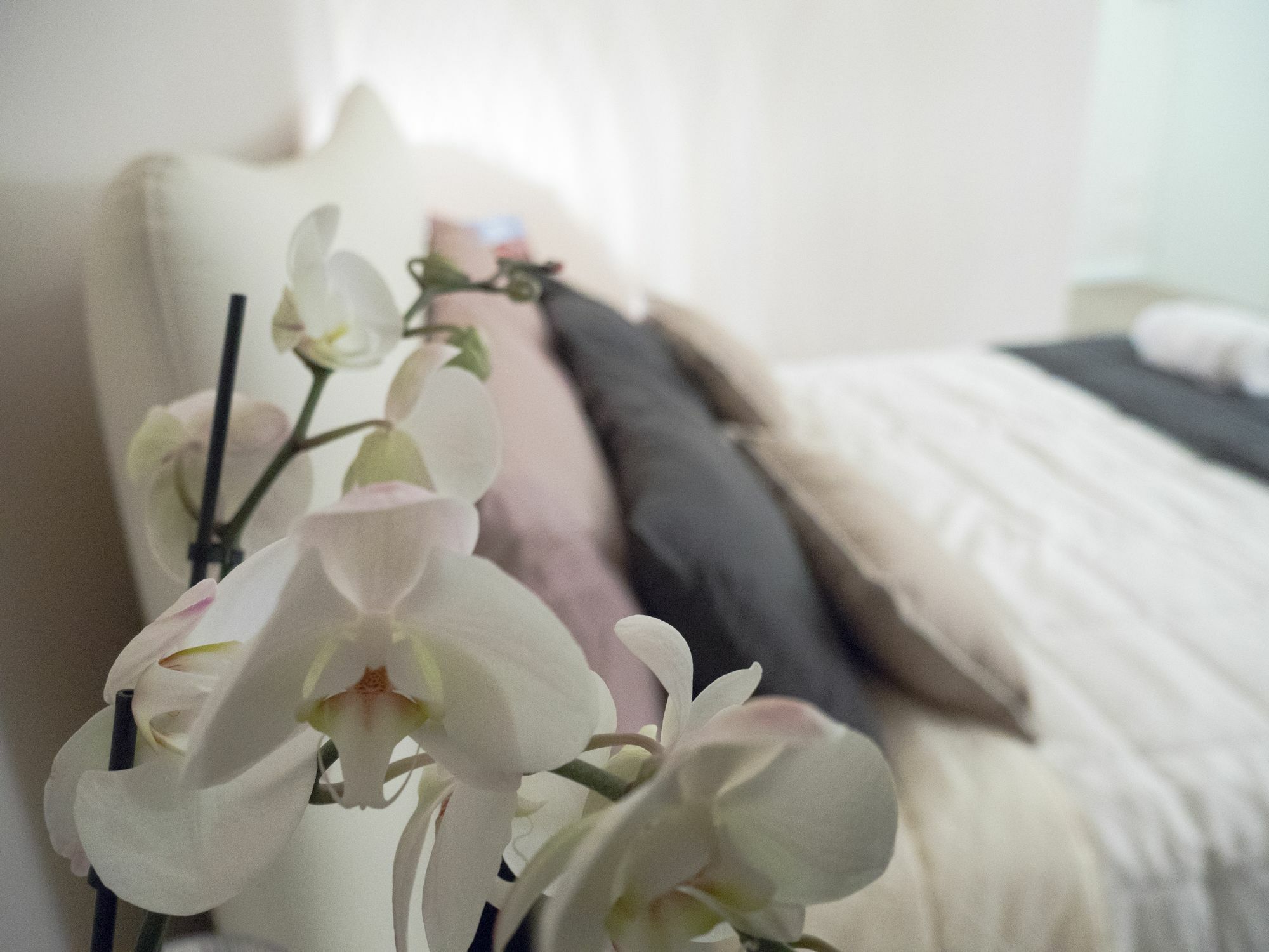Relais Love Верона Экстерьер фото